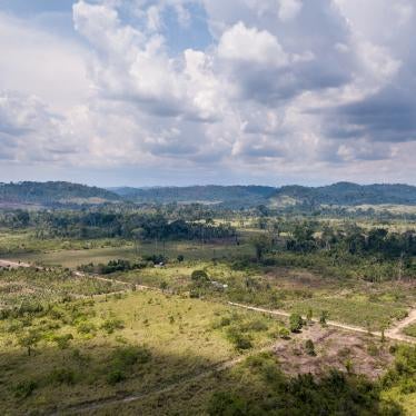 Terra Nossa settlement, where illegal logging takes place, September 30, 2019.