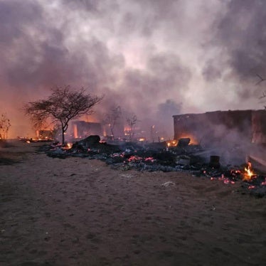 Houses on fire, southwest of Abu Shouk camp.